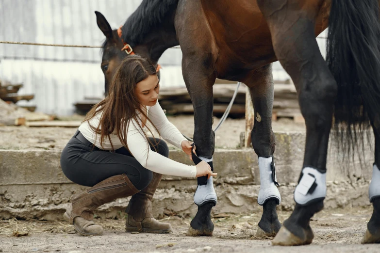 a woman that is kneeling down next to a horse, foot wraps, thumbnail, grey, boots