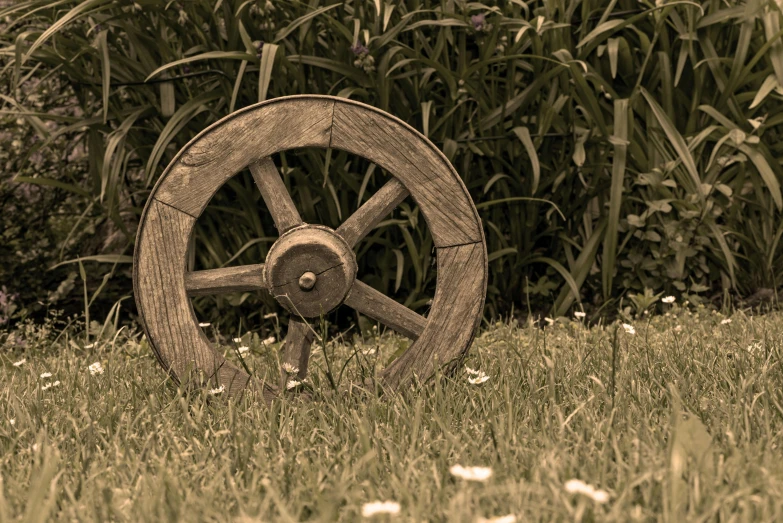 a wooden wheel sitting on top of a lush green field, by David Simpson, pixabay contest winner, renaissance, miscellaneous objects, sepia, lawn, portrait image