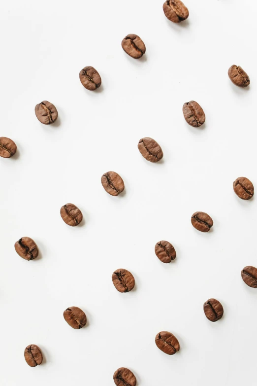 a bunch of coffee beans on a white surface, by Gavin Hamilton, trending on unsplash, 9 9 designs, lined up horizontally, hanging, 15081959 21121991 01012000 4k