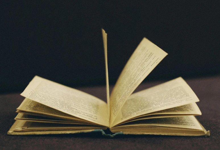 an open book sitting on top of a table, on dark paper, yellowed paper, readability, thumbnail