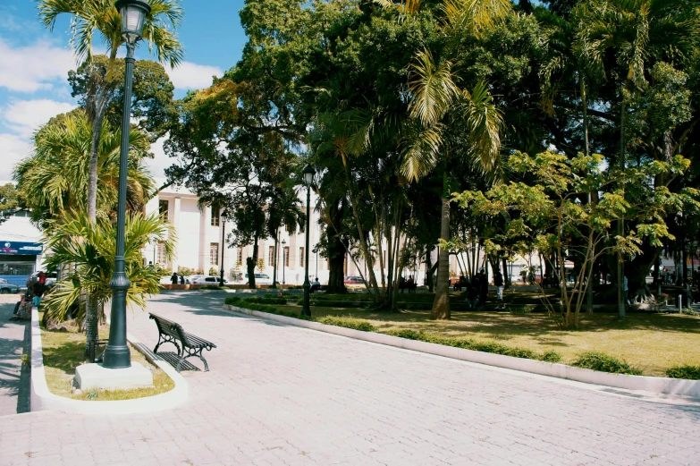 a couple of benches sitting on the side of a road, inspired by Francisco Zúñiga, pexels contest winner, in marijuanas gardens, on a great neoclassical square, puerto rico, park on a bright sunny day