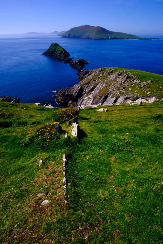 a group of sheep standing on top of a lush green hillside, an album cover, by Bedwyr Williams, flickr, rocky coast, pathway, taken with kodak portra, thumbnail