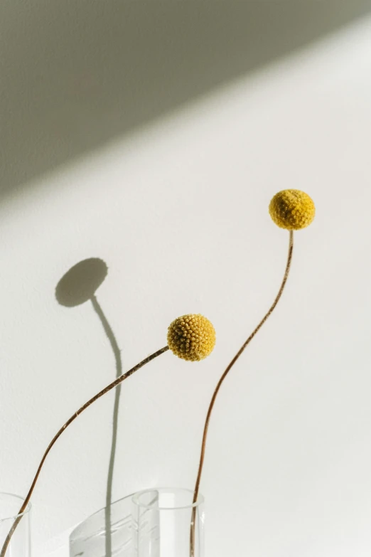 a close up of a vase with flowers in it, an abstract sculpture, by Carey Morris, unsplash, minimalism, two suns, antennae, yellow, muted color. minimalist