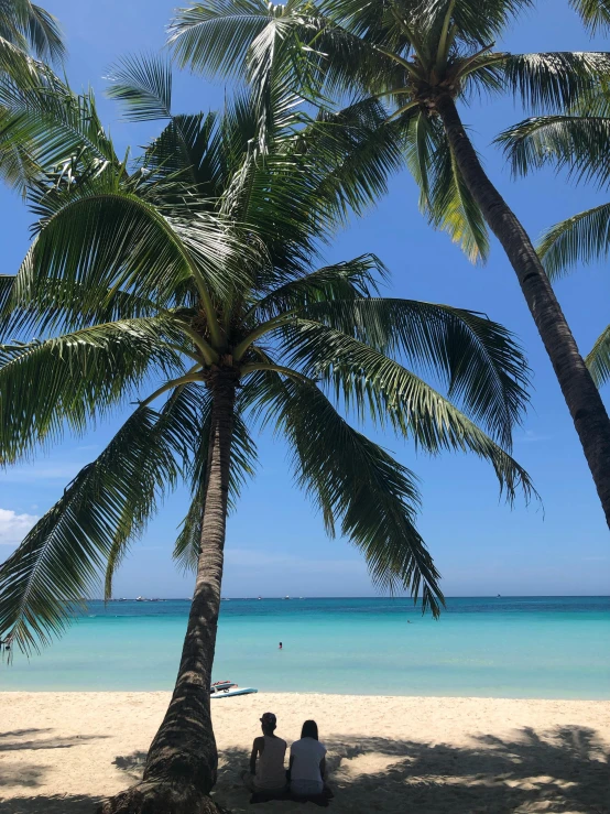 two people sitting under a palm tree on a beach, by Robbie Trevino, standing on a beach in boracay, profile image, multiple stories, crystal clear blue water