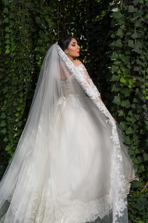 a woman in a wedding dress posing for a picture, zoomed out view, khyzyl saleem, caparisons, slide show