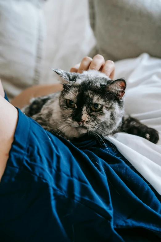 a person laying on a bed with a cat, by Julia Pishtar, trending on unsplash, wearing a hospital gown, blue and grey, over his shoulder, concerned