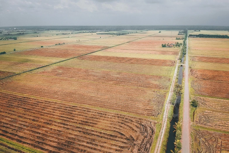 an aerial view of a road running through a field, an album cover, unsplash, land art, bangladesh, joel sternfeld, florida, panorama view