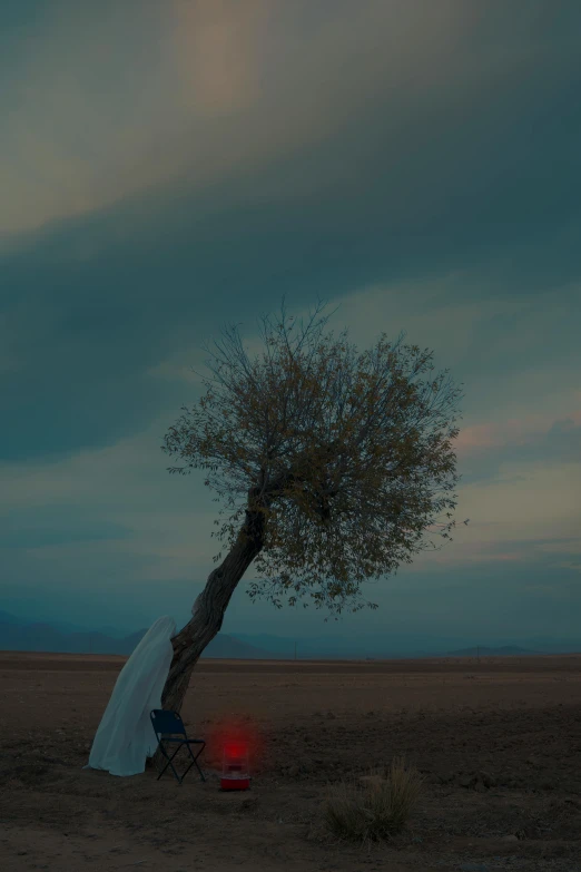 a lone tree sitting in the middle of a desert, an album cover, inspired by Brooke Shaden, unsplash contest winner, ignant, ( ( theatrical ) ), olive tree, late summer evening