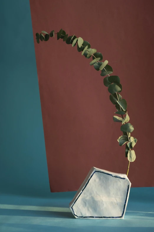 a close up of a vase with a plant in it, an abstract sculpture, inspired by Hendrik Gerritsz Pot, arabesque, blue backdrop, eucalyptus, shaped like a yacht, vines hanging down