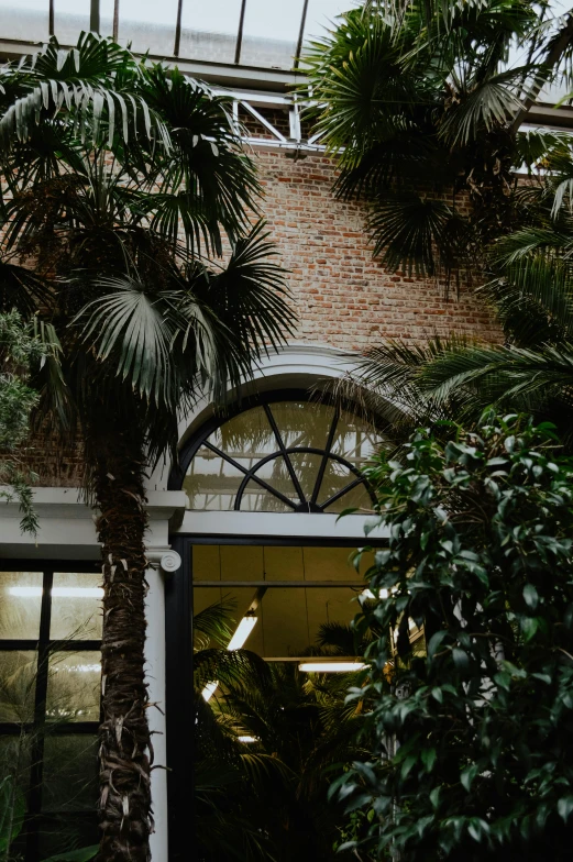 a couple of palm trees in front of a building, pexels contest winner, plants and patio, archs, shop front, venice biennale