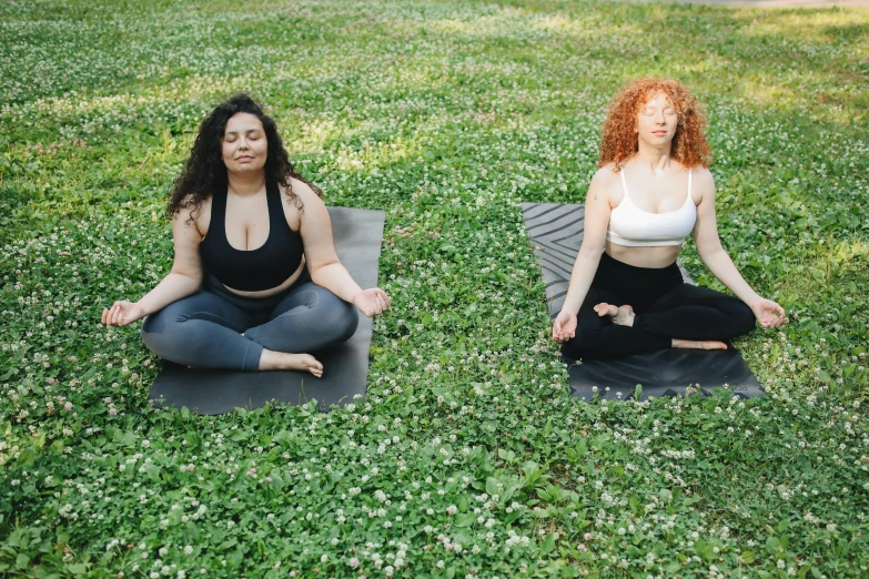 two women sitting on yoga mats in the grass, trending on pexels, three hairy fat cave people, upper body image, symmetrical image, thumbnail