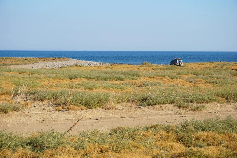 a truck parked in a field next to the ocean, a picture, desert transition area, an overgrown, orange grass, camp