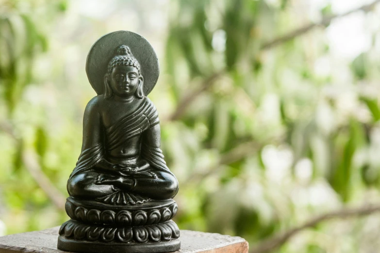a statue of a person sitting in a lotus position, a statue, unsplash, black resin, kerala motifs, small, highly polished