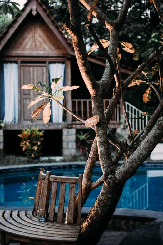 a wooden bench sitting next to a swimming pool, inspired by Elsa Bleda, pexels contest winner, in a tree house, thai architecture, late summer evening, 15081959 21121991 01012000 4k