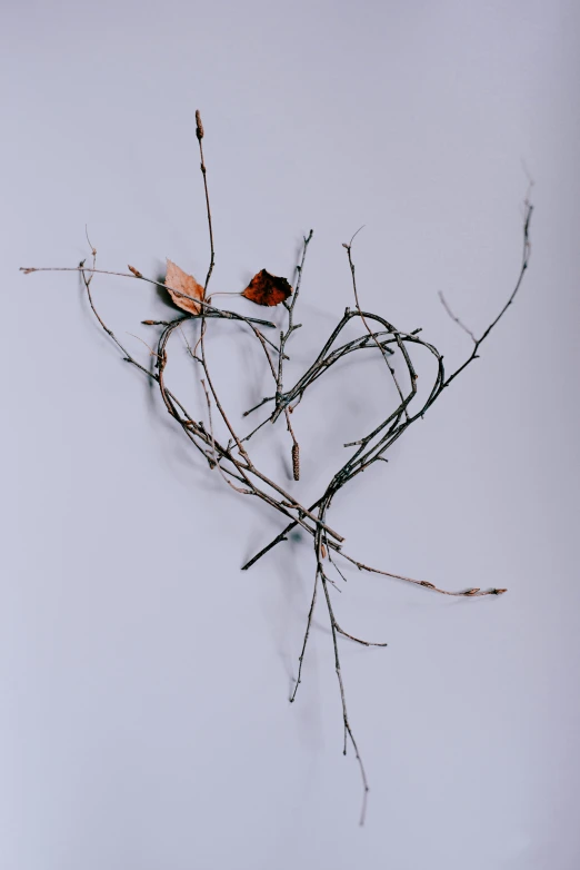 a couple of birds sitting on top of a tree branch, inspired by Chiharu Shiota, trending on pexels, environmental art, rose gold heart, dried plants, a photograph of a rusty, seasonal
