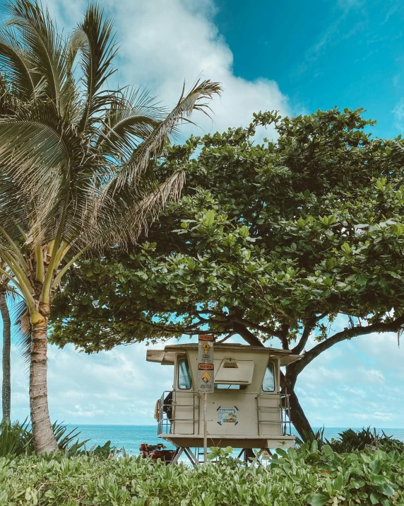 a lifeguard tower sitting on top of a lush green field, a colorized photo, by Robbie Trevino, unsplash contest winner, waikiki beach, beachwood treehouse, profile image, tiny house