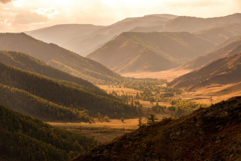 a horse standing on top of a lush green hillside, by Alexander Runciman, unsplash contest winner, les nabis, sparse pine forest long shadows, sunset in a valley, mongol, panoramic