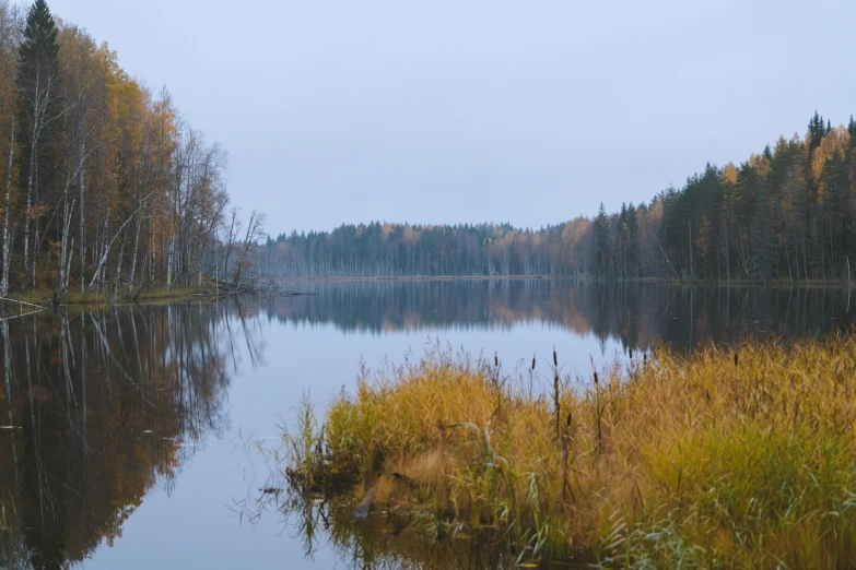 a body of water surrounded by trees and grass, a picture, inspired by Eero Järnefelt, unsplash, hurufiyya, late autumn, low quality photo, fishing, muted colours 8 k