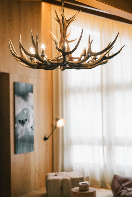 a living room filled with furniture and a chandelier, by Jesper Knudsen, trending on pexels, fine art, wearing a crown made of antlers, hotel room, detail shot, cabin lights