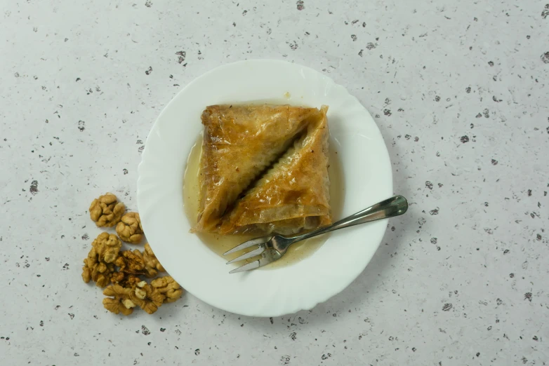 a close up of a plate of food with a fork, walnuts, rukis, detailed product image, dessert