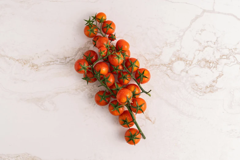 a bunch of tomatoes sitting on top of a marble counter, vine twist, official product photo, amber, zoomed out to show entire image