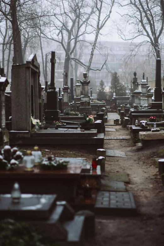 a cemetery filled with lots of tombstones and trees, a colorized photo, by Attila Meszlenyi, unsplash, gothic art, misty alleyways, by emmanuel lubezki, on a dark winter's day, orthodox