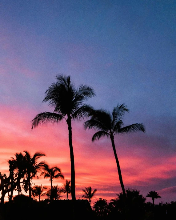 a sunset with palm trees in the foreground, pexels contest winner, shades of pink and blue, hawaii, jen atkin, multiple stories