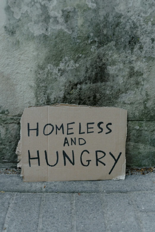 a sign that says homeless and hungry on the sidewalk, trending on unsplash, profile picture, background image, cardboard, alessio albi