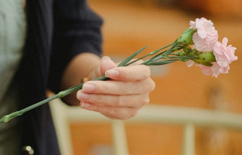 a close up of a person holding a flower, back of hand on the table, funeral, flowers and stems, when it's over