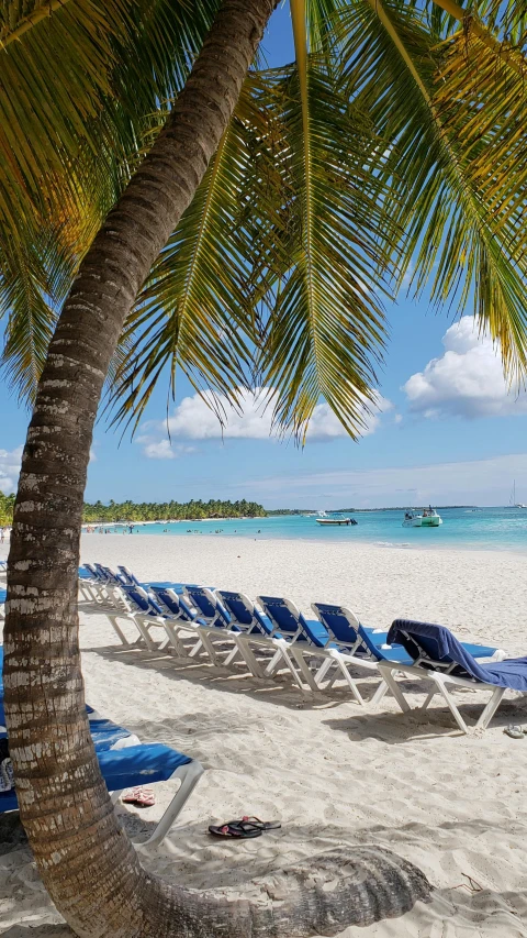 a group of lounge chairs sitting on top of a sandy beach, coconut trees, profile image, barcelo tomas, multiple stories