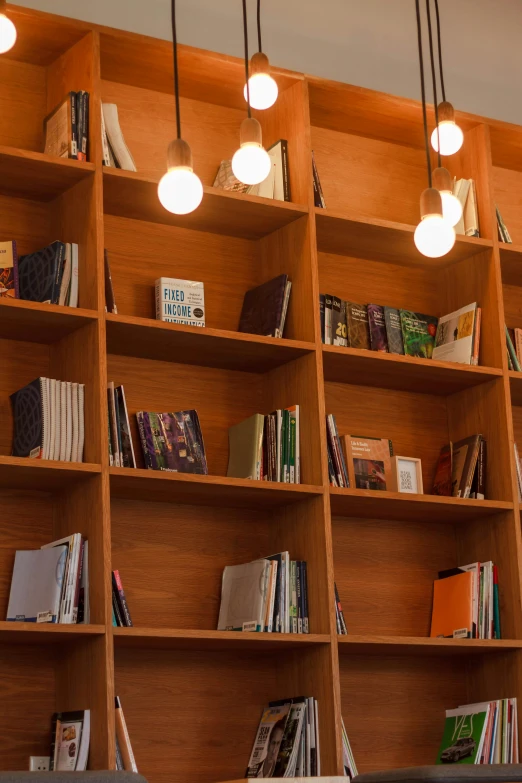 a wooden bookshelf filled with lots of books, unsplash, modernism, torches on the wall, distant photo