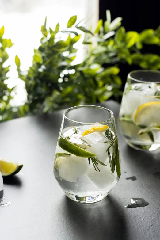 a table topped with two glasses filled with water and lemon slices, inspired by david rubín, unsplash, square, herbs, closeup shot, angled
