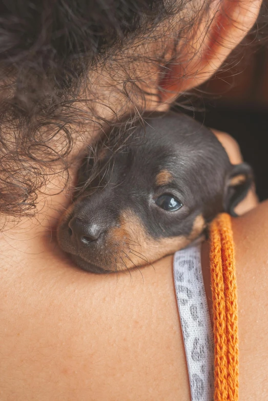 a close up of a person holding a small dog, trending on pexels, renaissance, black ears, brazil, maternal, digital image