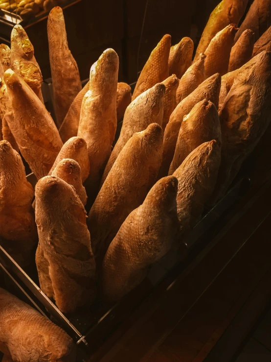 a display case filled with lots of different types of bread, by Bernard D’Andrea, pexels contest winner, art nouveau, bathed in golden light, baking french baguette, thumbnail, overview