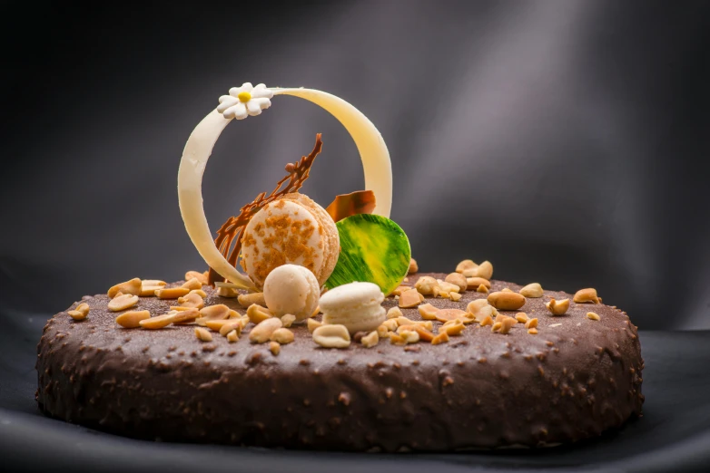 a chocolate cake with nuts on top of it, michelin star photography, showpiece, brown, mixed art