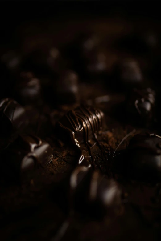 a pile of coffee beans sitting on top of a table, a macro photograph, by Andries Stock, pexels contest winner, dark chocolate painting, made of insects, soft light.4k, hibernation capsule close-up