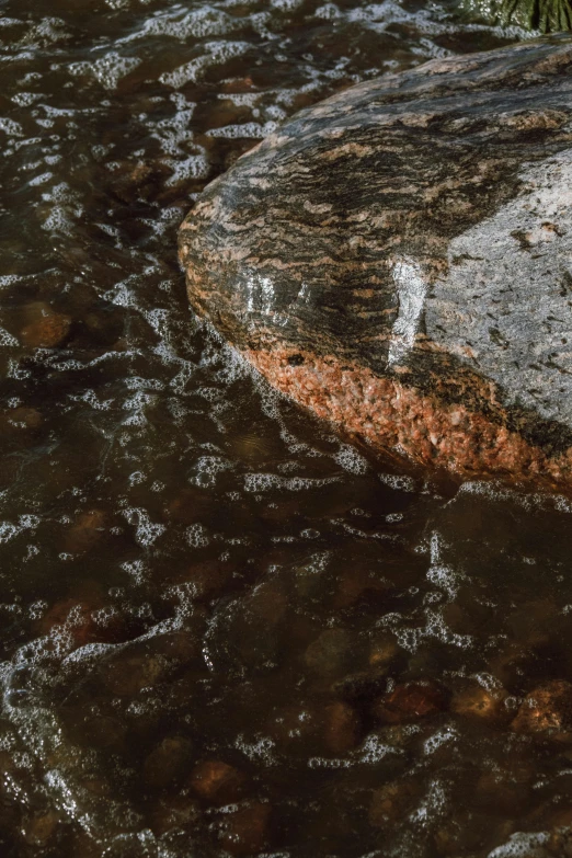 a large rock sitting on top of a river, an album cover, by Carl Rahl, unsplash, australian tonalism, detailed droplets, high angle close up shot, detail shot, looking towards camera