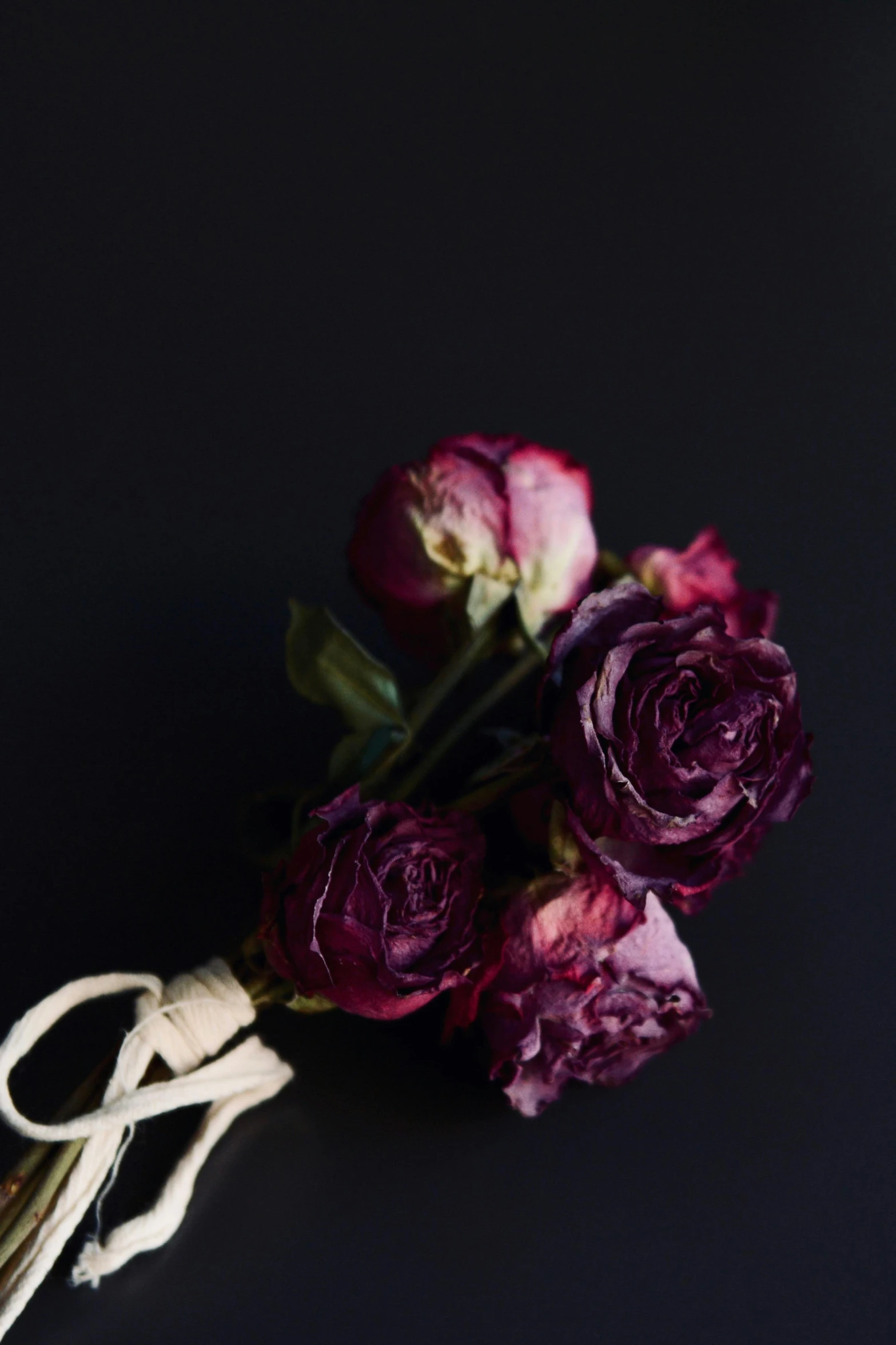 a bunch of flowers sitting on top of a table, a still life, unsplash, romanticism, dark purple, rose twining, profile image, dry