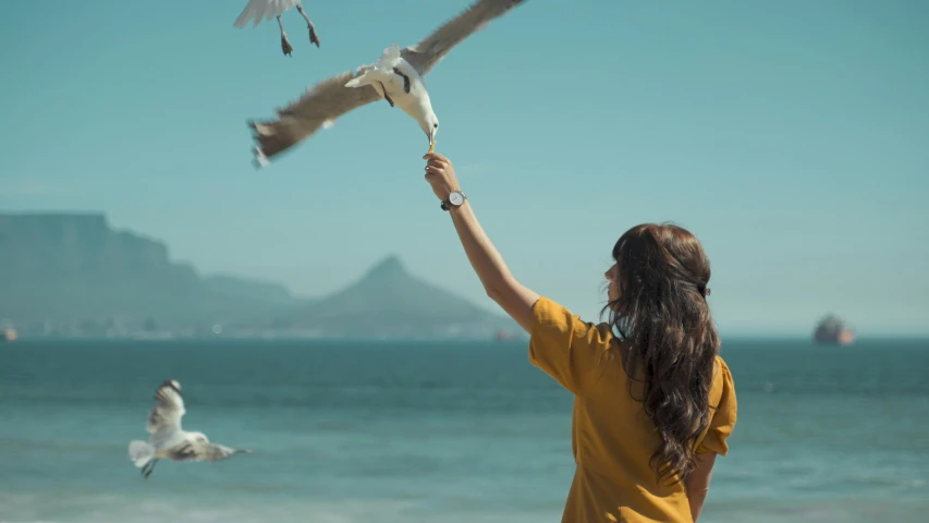a woman is feeding seagulls on the beach, pexels contest winner, magic realism, his arms spread. ready to fly, dua lipa, **cinematic, unsplash 4k