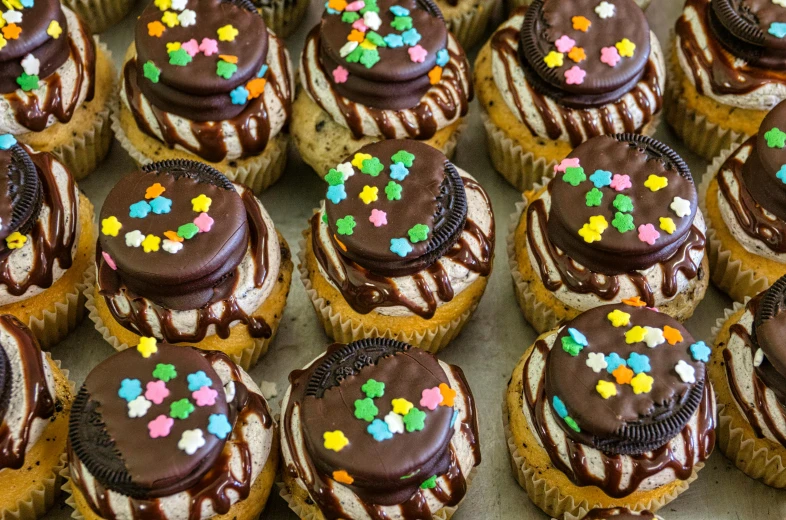 a tray of cupcakes with chocolate frosting and sprinkles, by Helen Berman, pexels, pop art, thumbnail, close up front view, gray, bakery