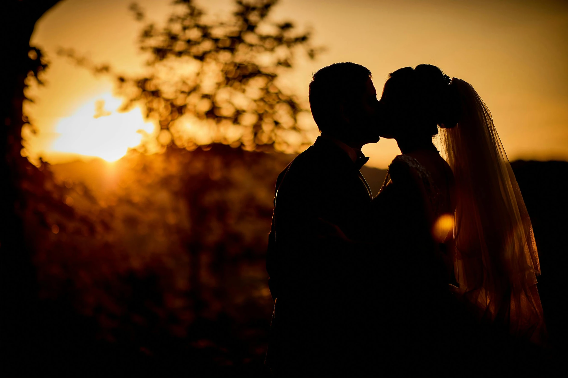 a bride and groom kissing in front of the sun, pexels contest winner, romanticism, thumbnail, backlite, goldenhour, silhoutte