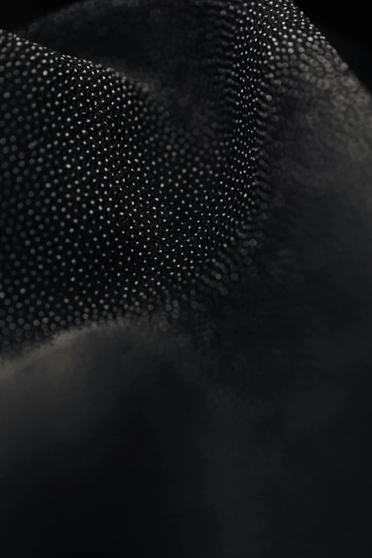 a close up of a black and white photo, a stipple, by Adam Chmielowski, fur and leather armor, dots abstract, sleek dark fur, abstract claymation