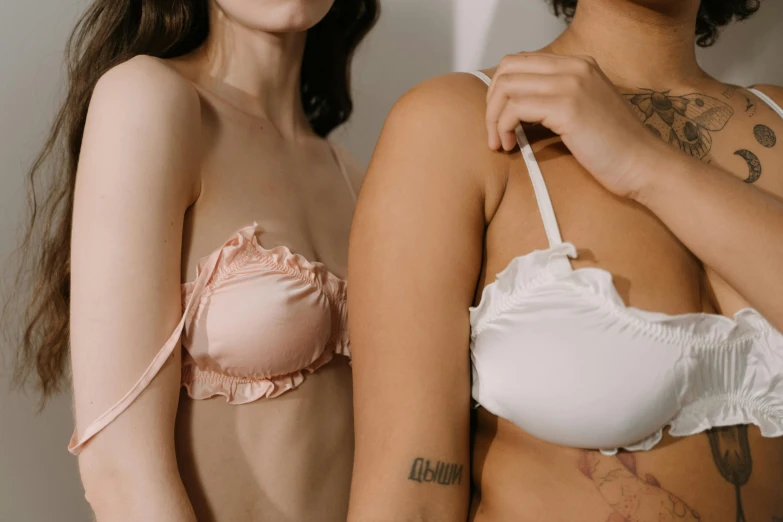 a couple of women standing next to each other, by Matija Jama, trending on pexels, renaissance, white bra, covered in pink flesh, ayami kojima and lyde caldwell, wavy lingeries