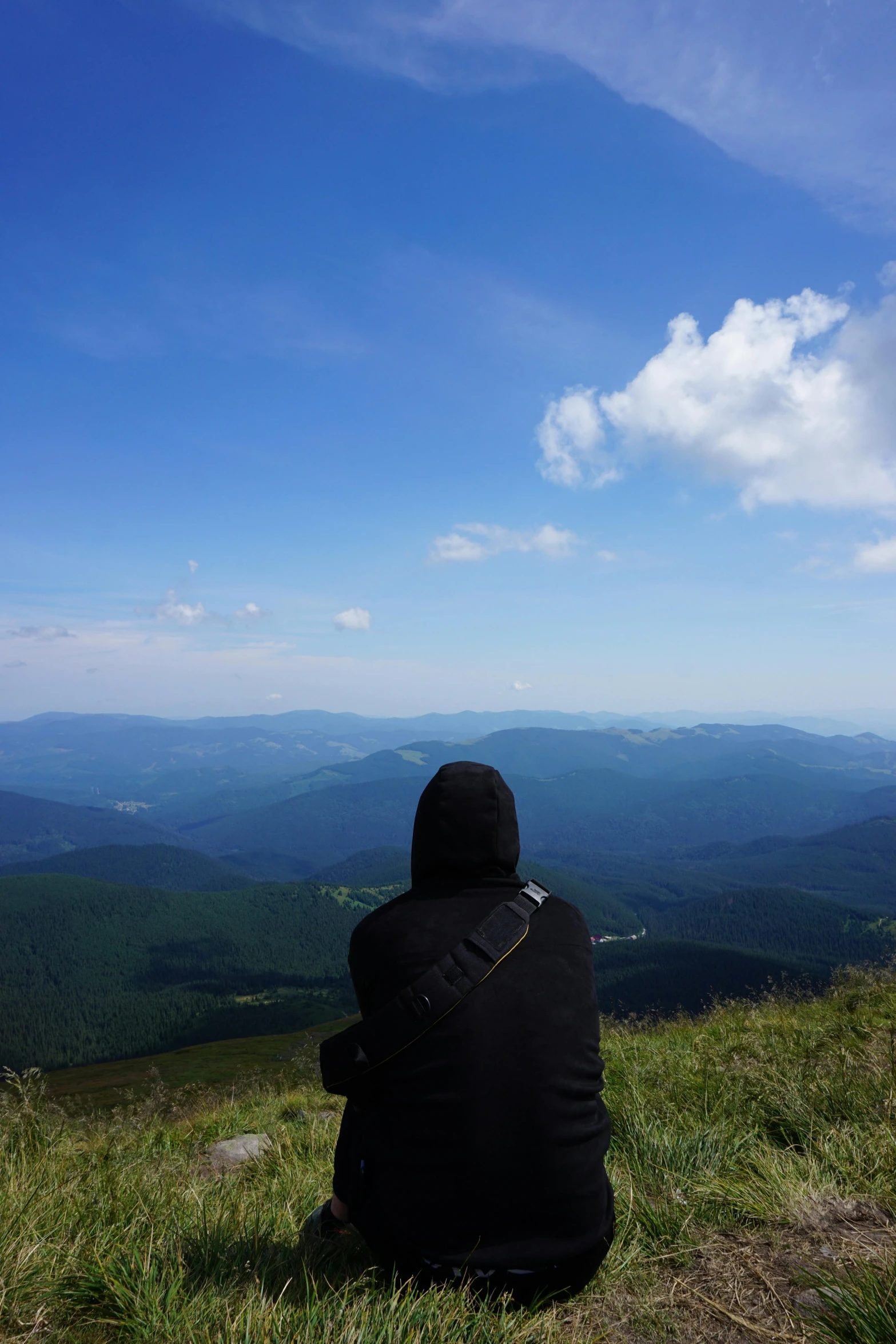 a person sitting on top of a grass covered hill, carpathian mountains, profile image