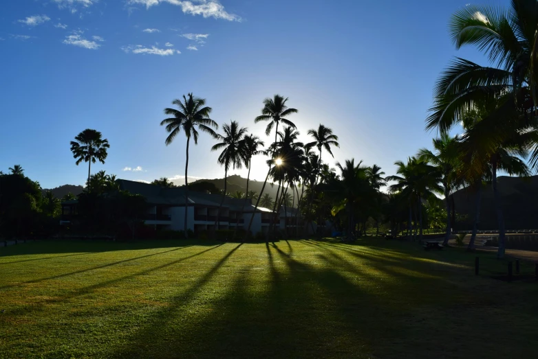 a grassy field with palm trees in the background, by Jessie Algie, pexels contest winner, morning hard light, resort, college, polynesian style