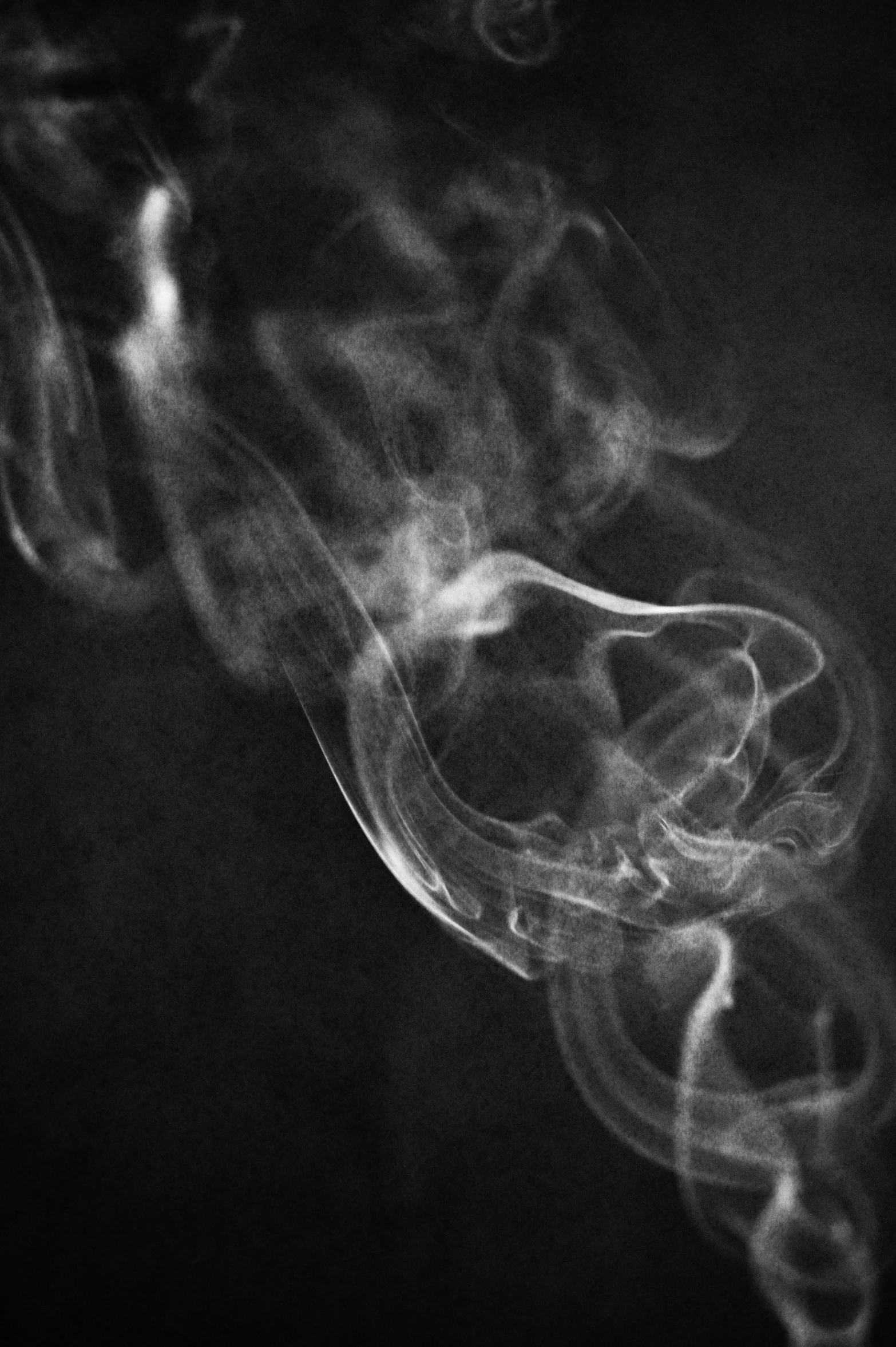 a cigarette with smoke coming out of it, a black and white photo, inspired by Germaine Krull, flickr, mystical swirls, smoky laboratory, ✨🕌🌙, marijuana photography