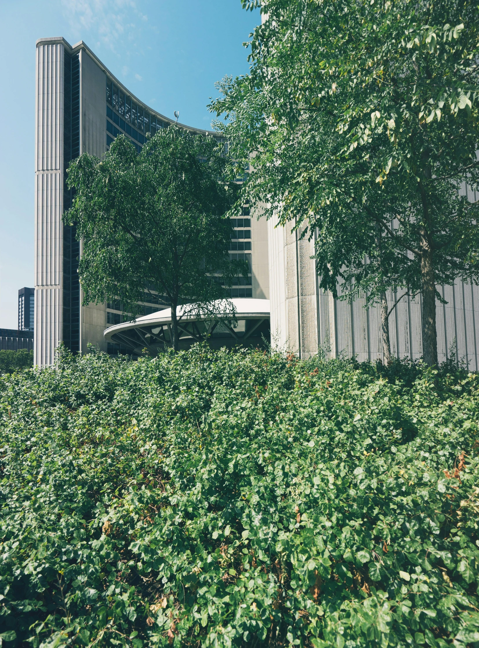 a tall building sitting on top of a lush green field, inspired by Thomas Struth, unsplash, brutalism, bushes of blueberry, iphone picture, curved trees, close up shot from the side