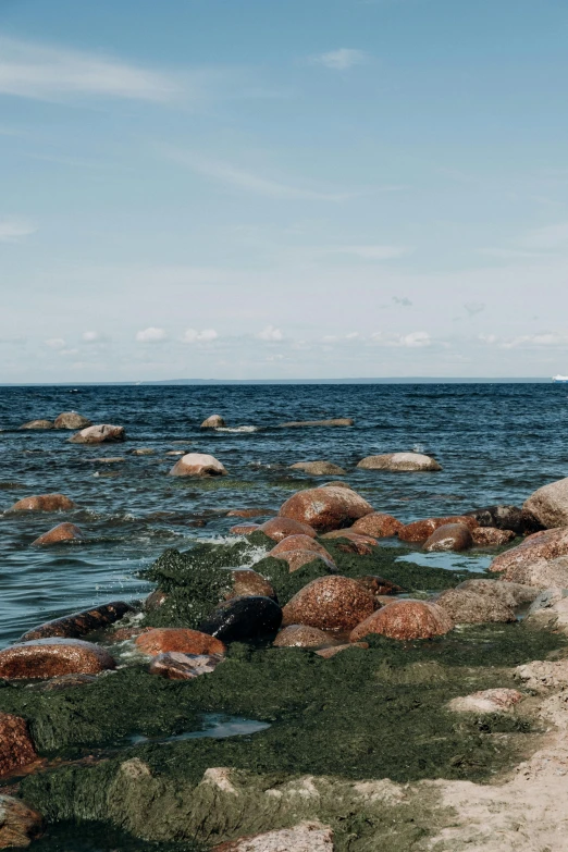 a man standing on top of a beach next to a body of water, a picture, unsplash, mingei, grassy stones, tallinn, a group photo of a seal, panoramic shot