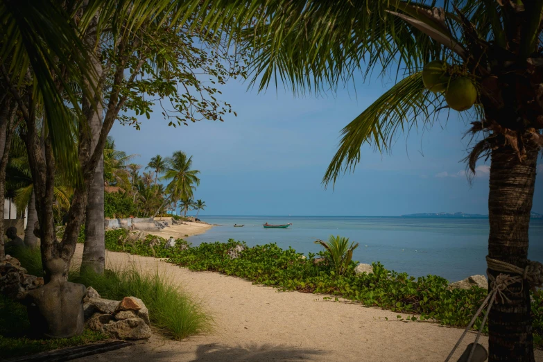 a beach with palm trees and a boat in the water, thawan duchanee, looking across the shoulder, brown, beach setting