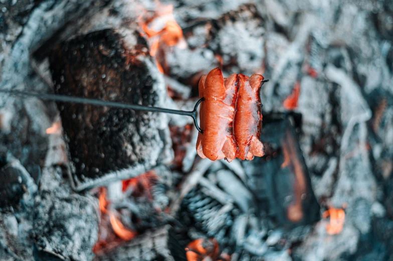 a hot dog roasting on a stick over an open fire, by Emma Andijewska, pexels contest winner, hurufiyya, salmon, “ iron bark, 🦩🪐🐞👩🏻🦳, crisp detail